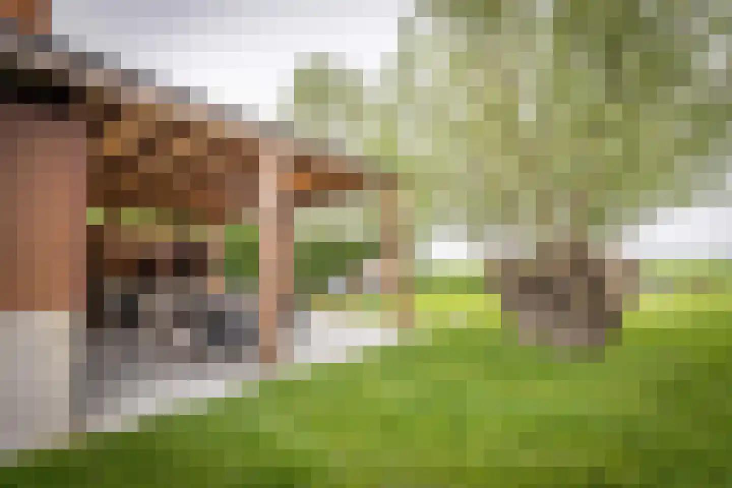 Ringdijk Zuid 9 Cadzand thumbnail 31