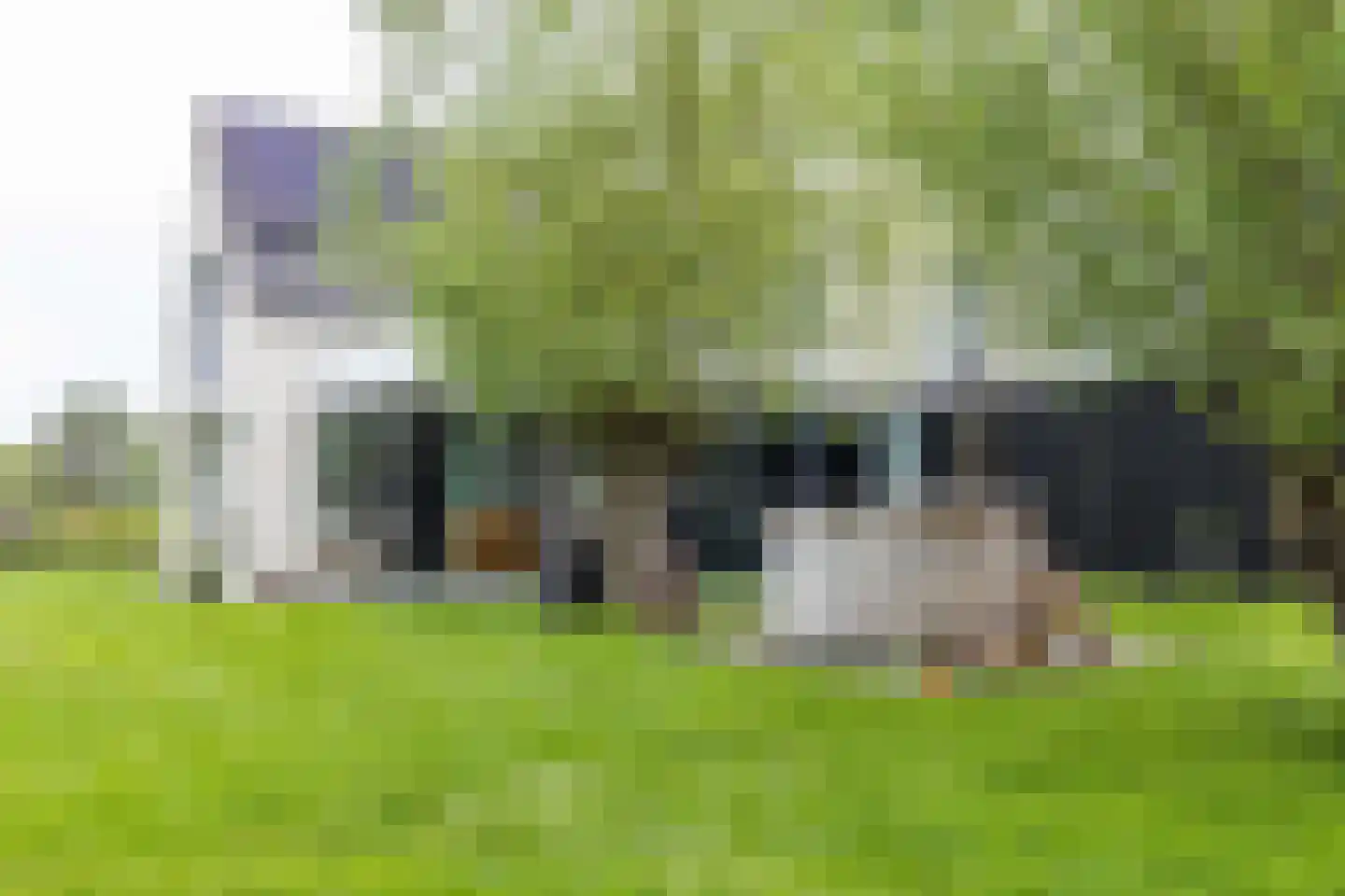 Ringdijk Zuid 9 Cadzand thumbnail 35
