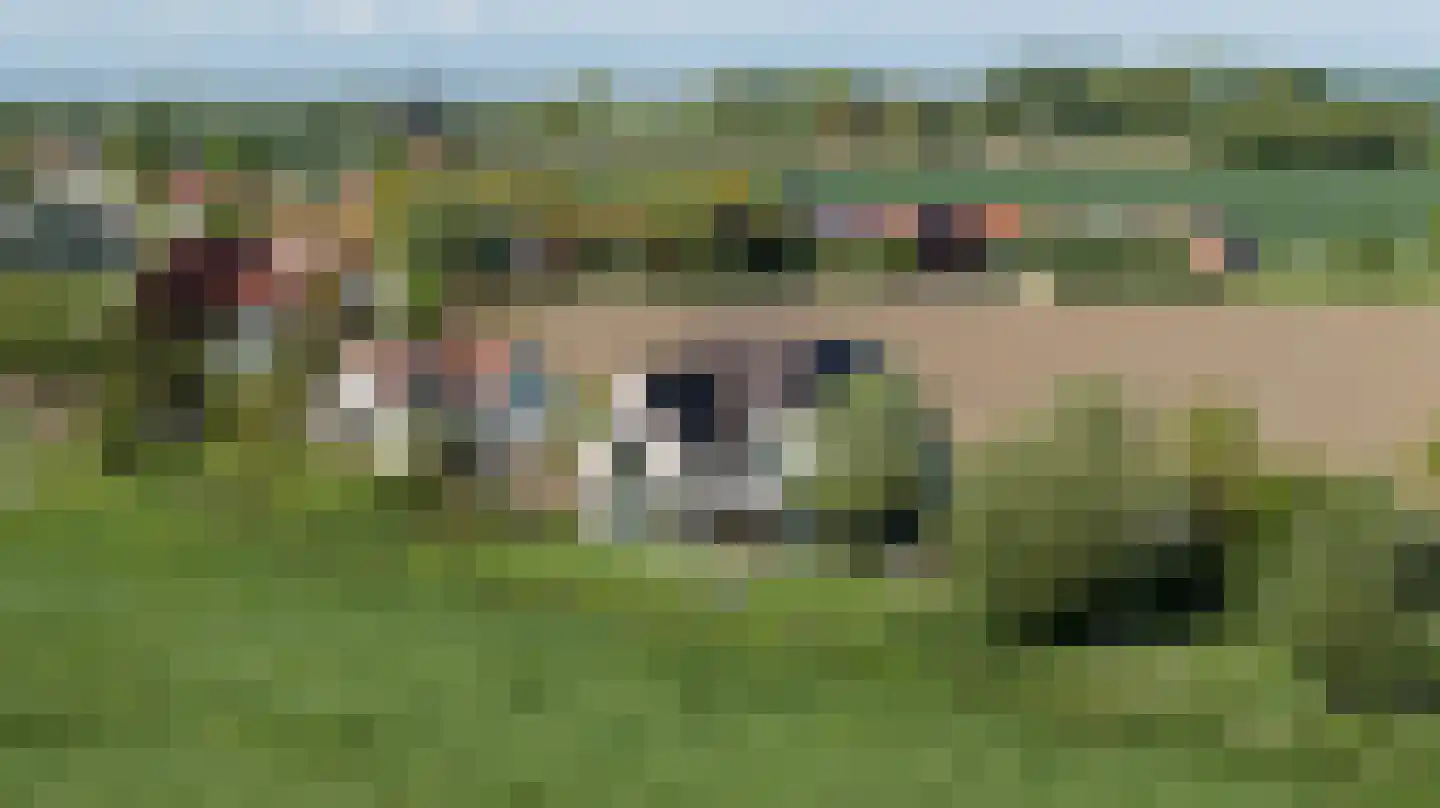 Ringdijk Zuid 9 Cadzand thumbnail 4