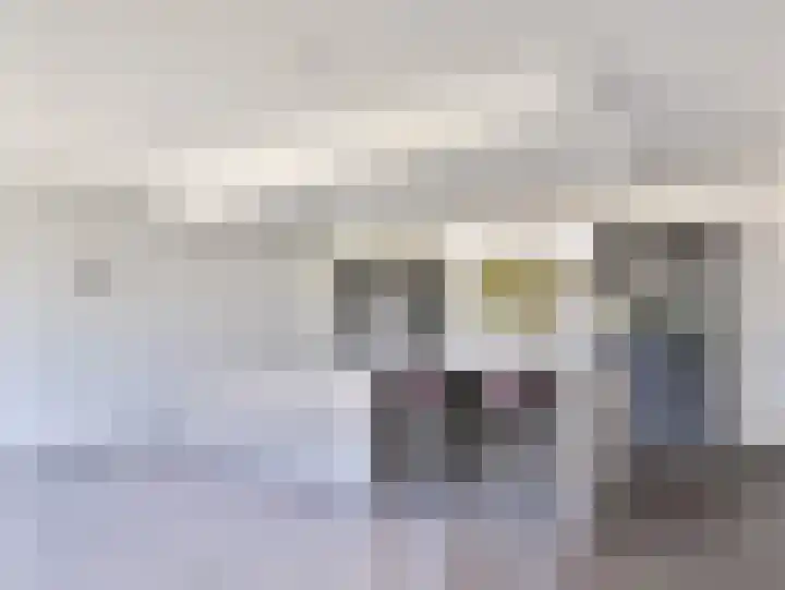 Ringelenbergstraat 3 Afferden thumbnail 10