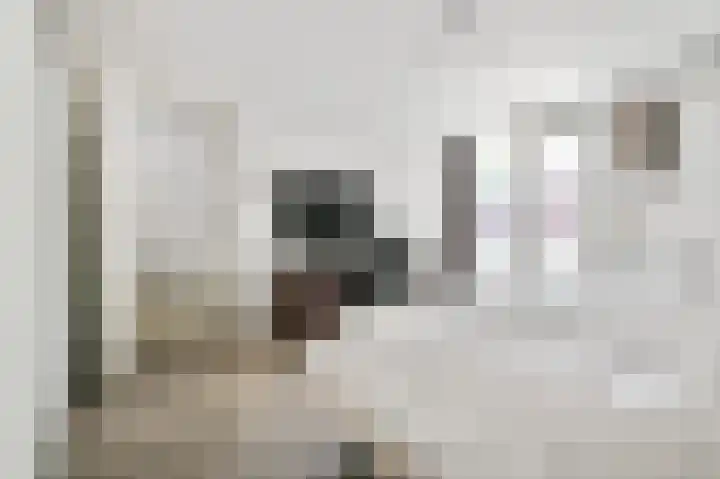 Ringelenbergstraat 3 Afferden thumbnail 18