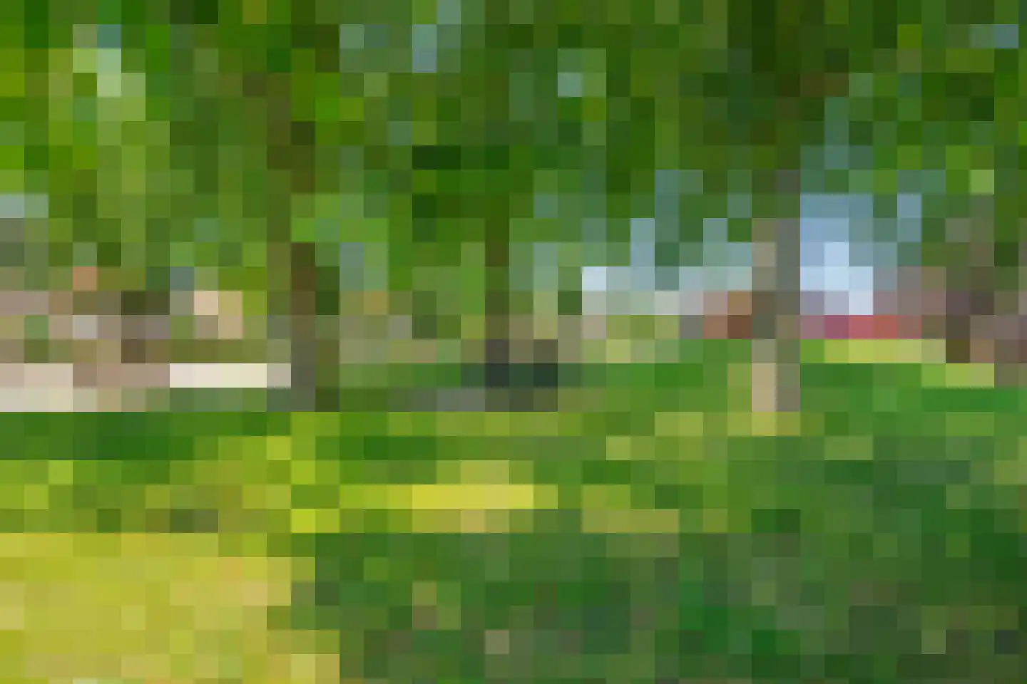 Ringelenburg 13 Oss thumbnail 29