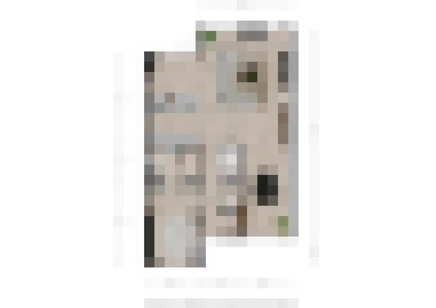 Ringelenburg 13 Oss thumbnail 30