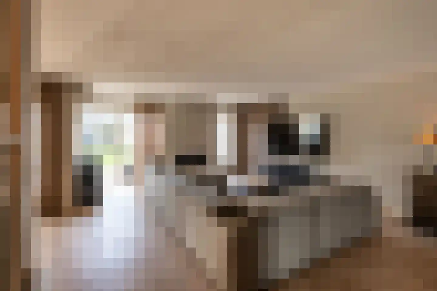 Ringelenburg 13 Oss thumbnail 7