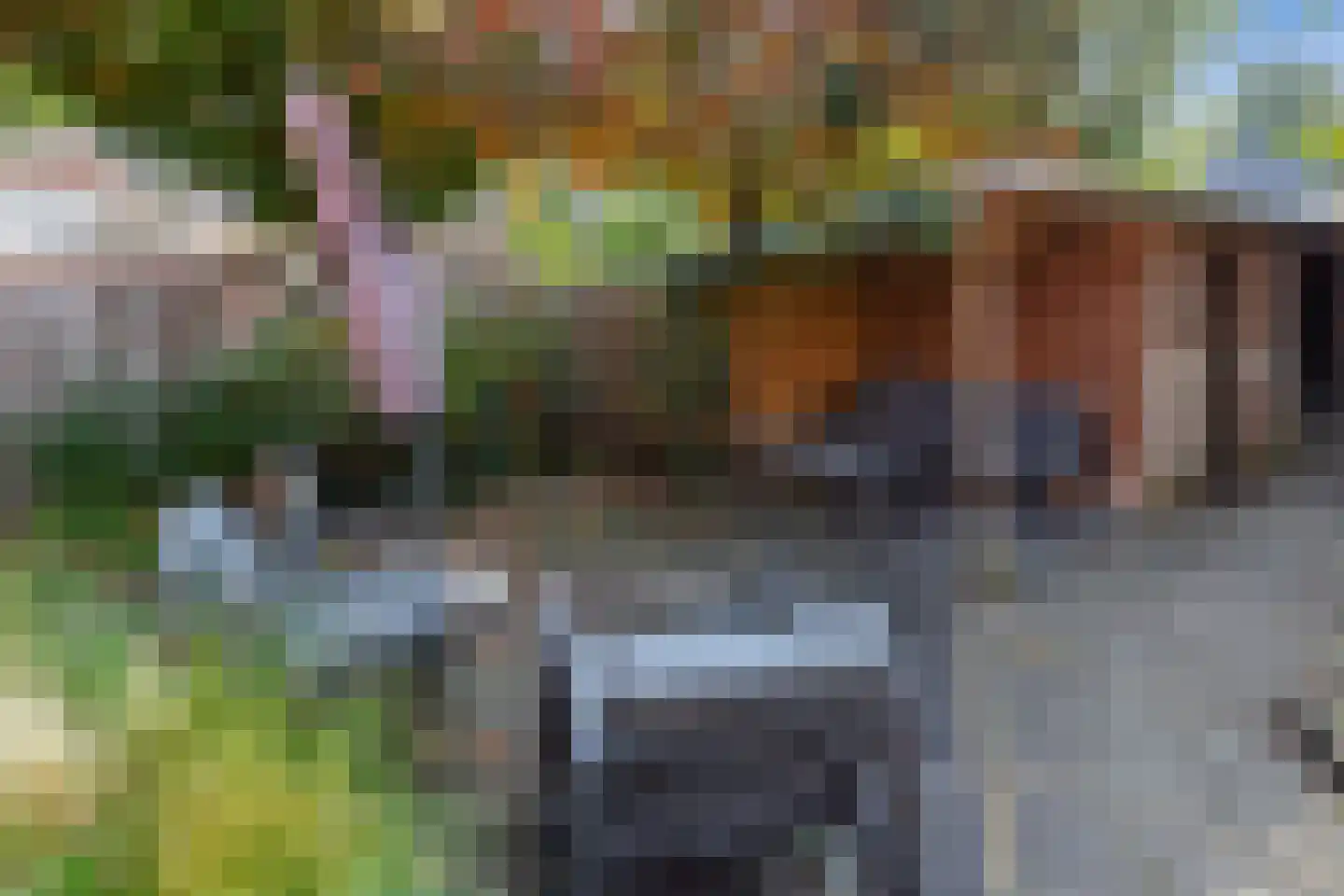 Ringeloor 14 Milsbeek thumbnail 25