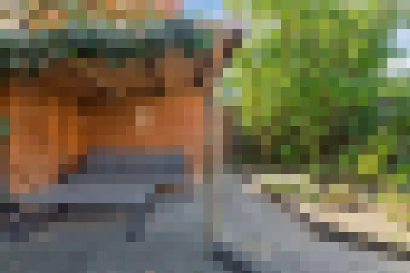 Ringeloor 14 Milsbeek thumbnail 26