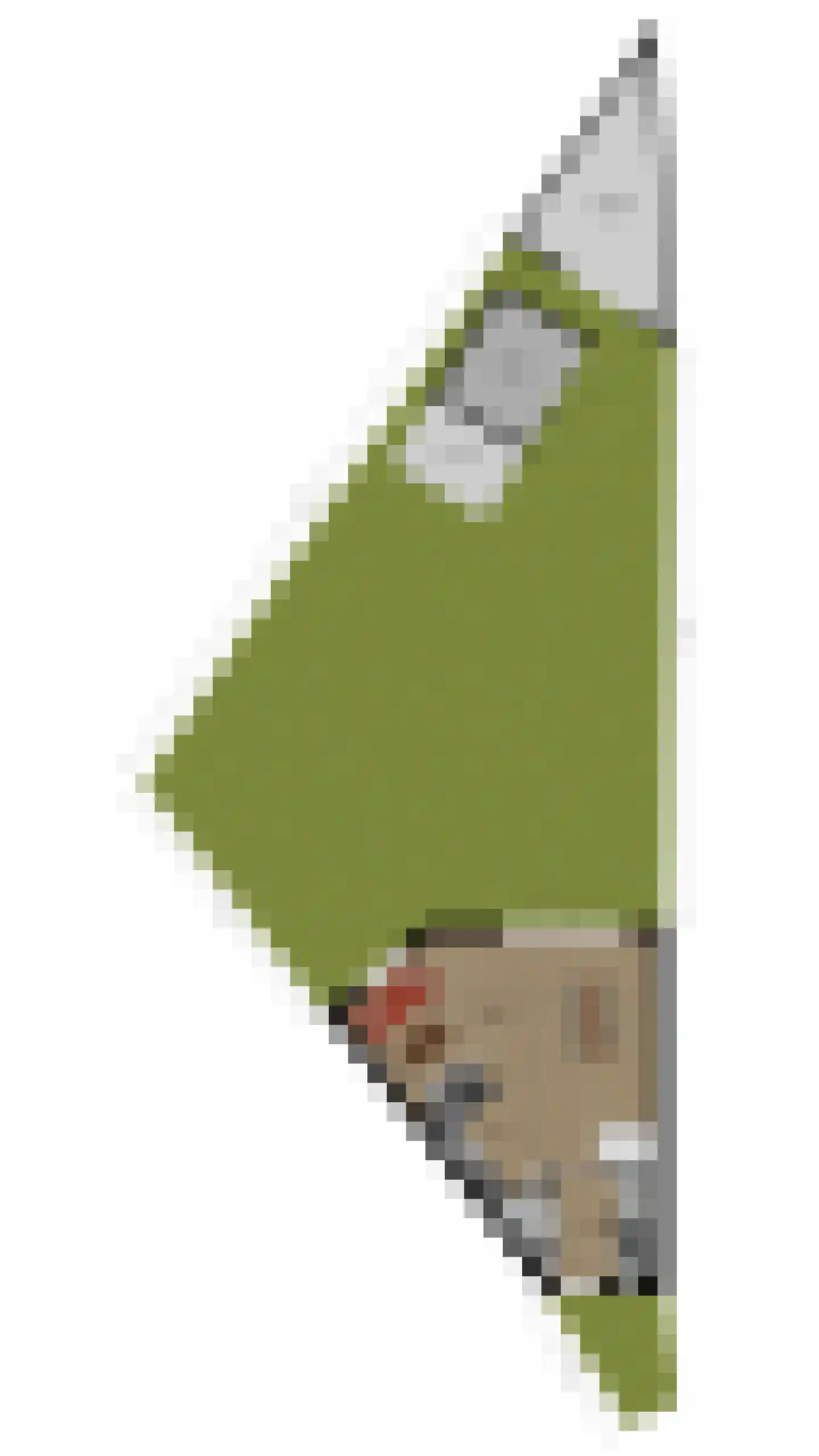 Ringeloor 14 Milsbeek thumbnail 35