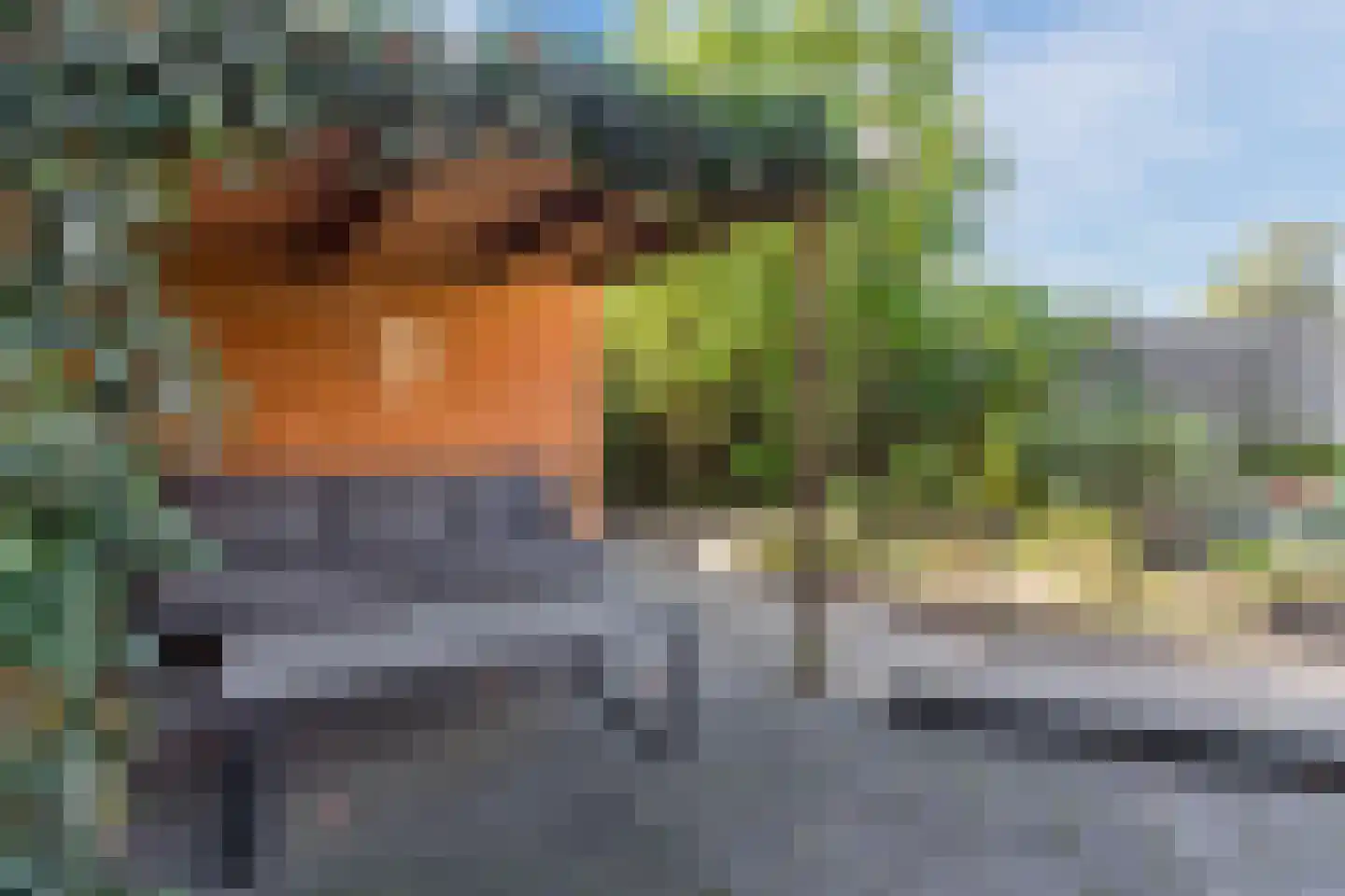 Ringeloor 14 Milsbeek thumbnail 5