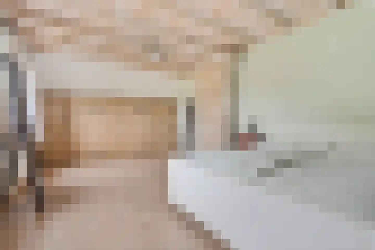 Ringelpoel 3 Woudenberg thumbnail 27