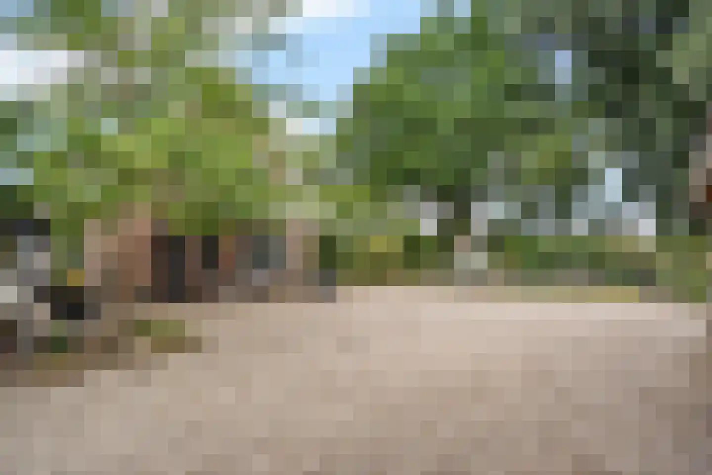 Ringelpoel 3 Woudenberg thumbnail 44