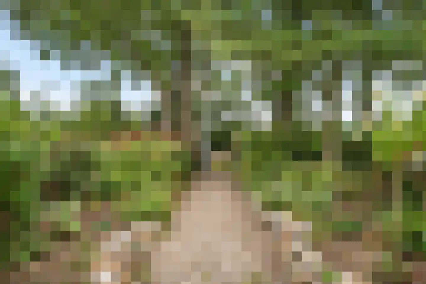 Ringelpoel 3 Woudenberg thumbnail 5