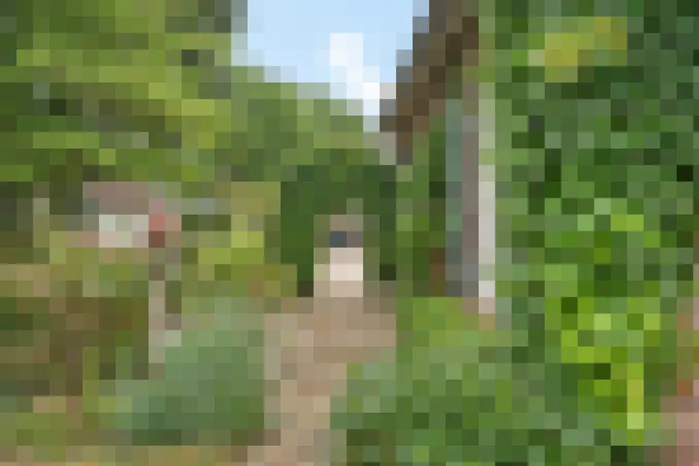 Ringelpoel 3 Woudenberg thumbnail 8