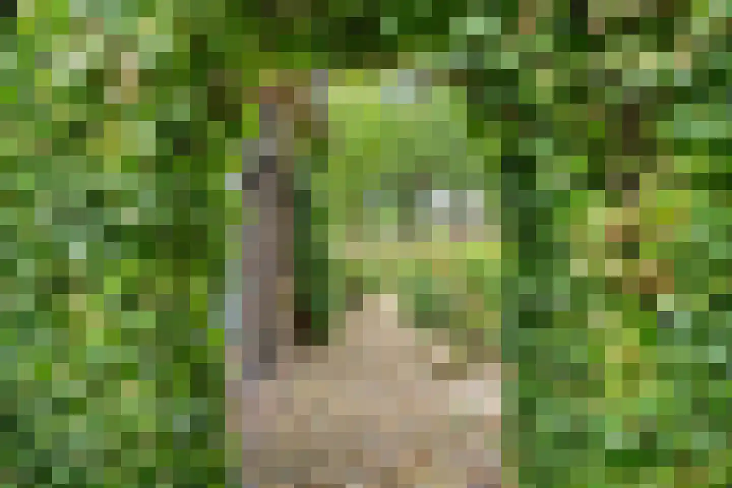 Ringelpoel 3 Woudenberg thumbnail 9