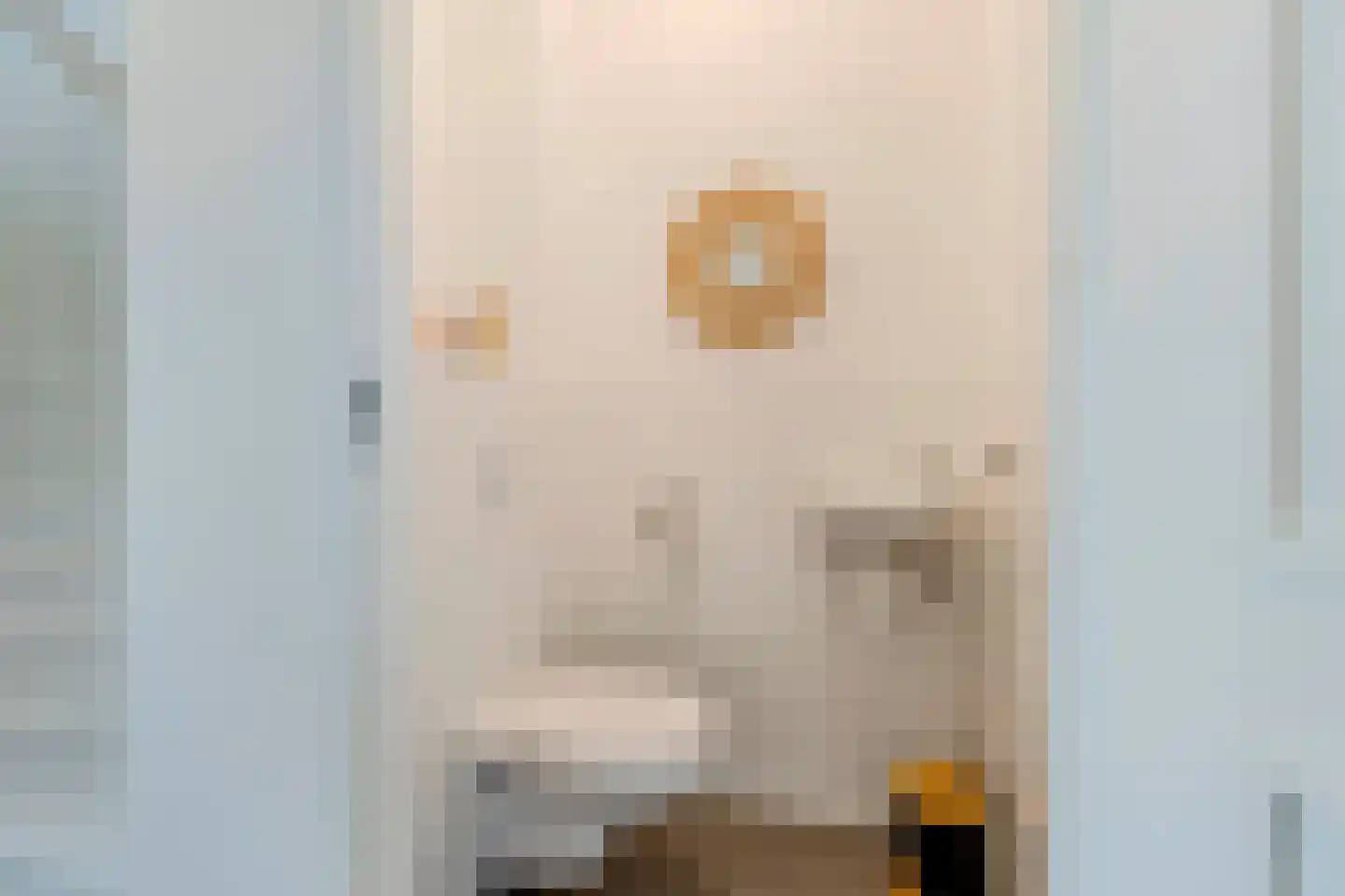 Ringelwikke 10 Heiloo thumbnail 11