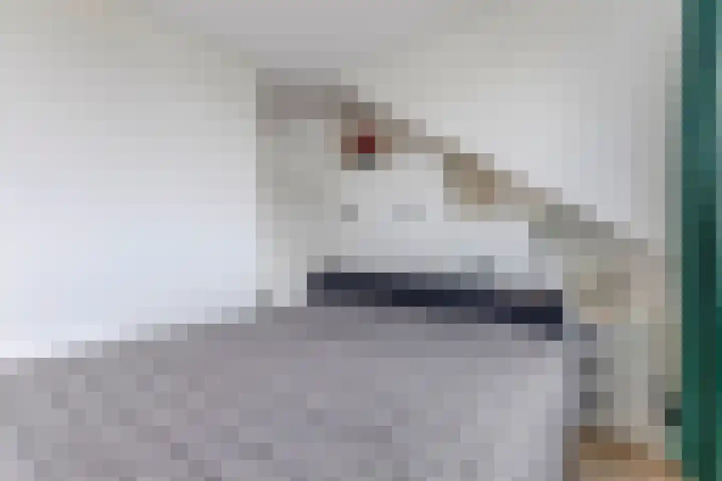 Ringelwikke 10 Heiloo thumbnail 16