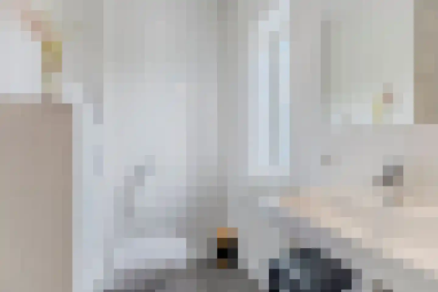 Ringelwikke 10 Heiloo thumbnail 22