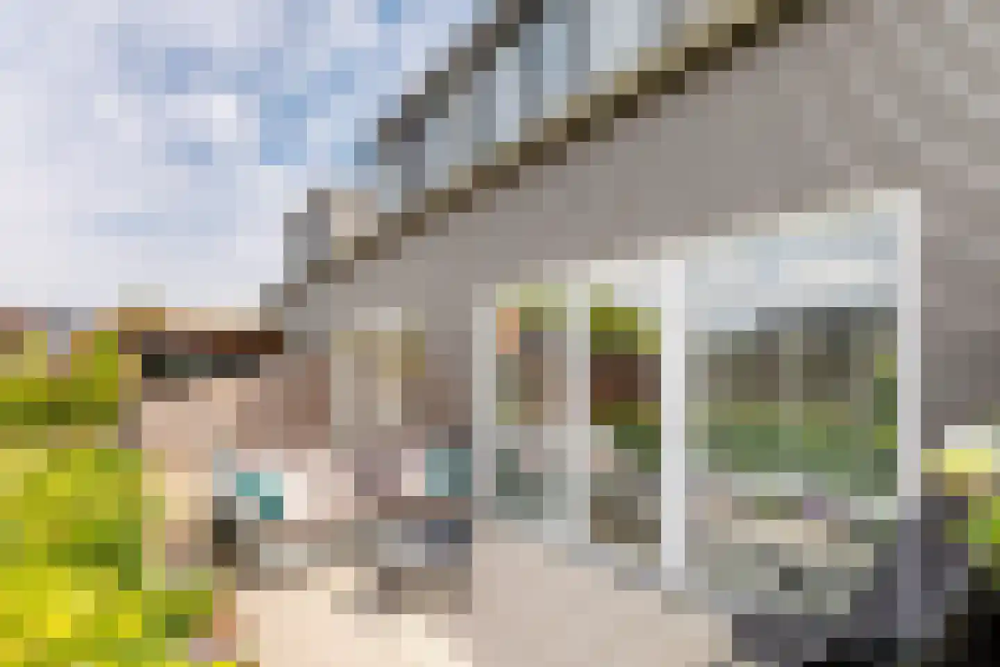 Ringelwikke 10 Heiloo thumbnail 23