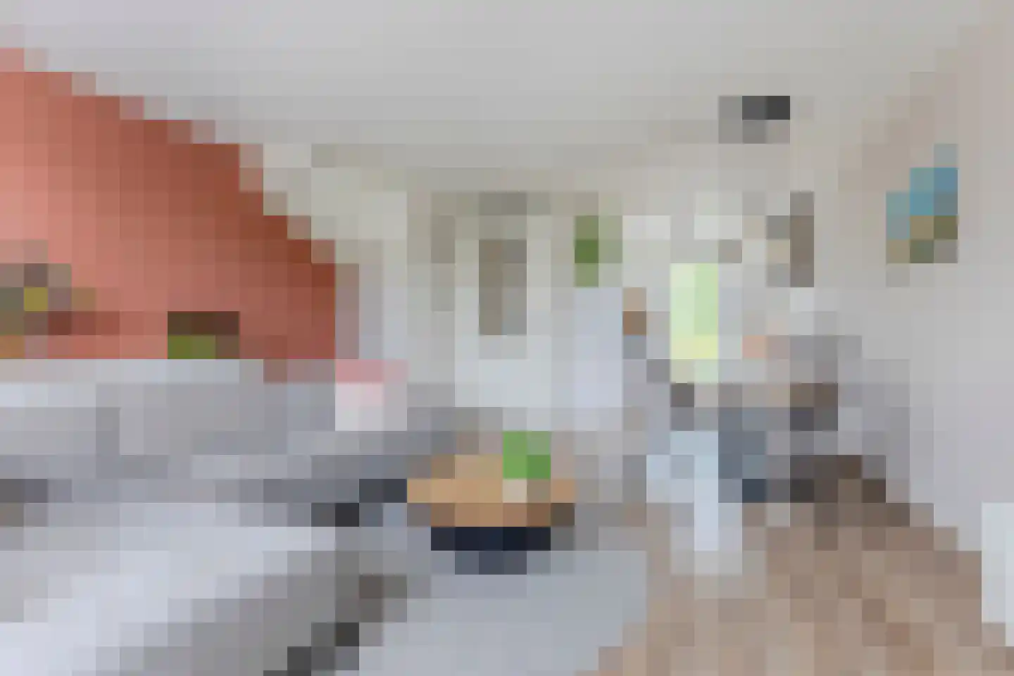 Ringelwikke 10 Heiloo thumbnail 4