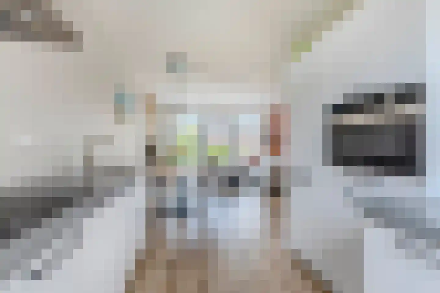 Ringelwikke 10 Heiloo thumbnail 6