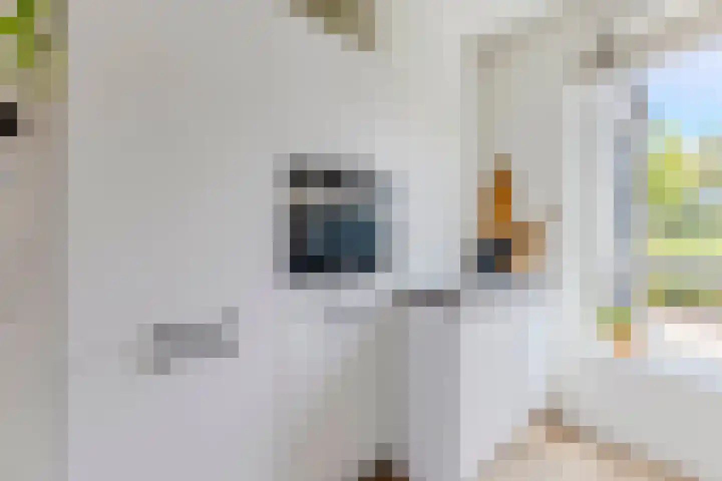 Ringelwikke 10 Heiloo thumbnail 8