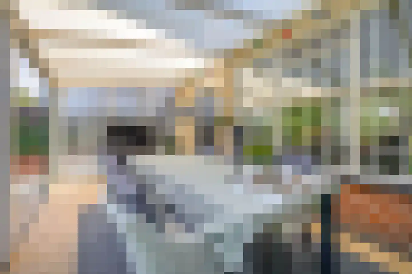 Ringelwikke 10 Tegelen thumbnail 11