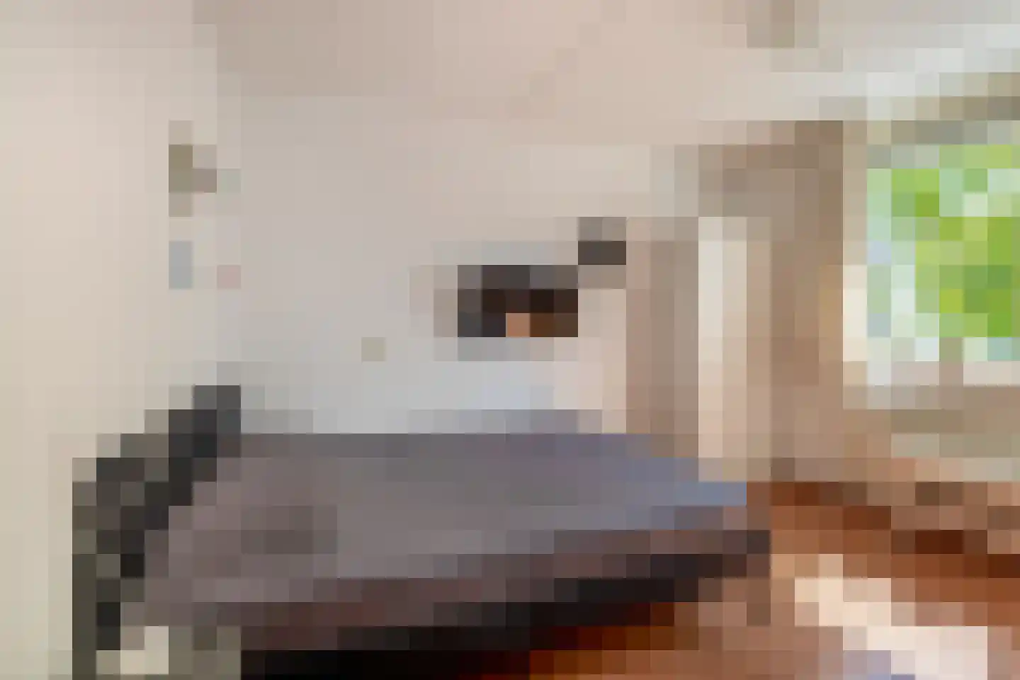 Ringelwikke 10 Tegelen thumbnail 16