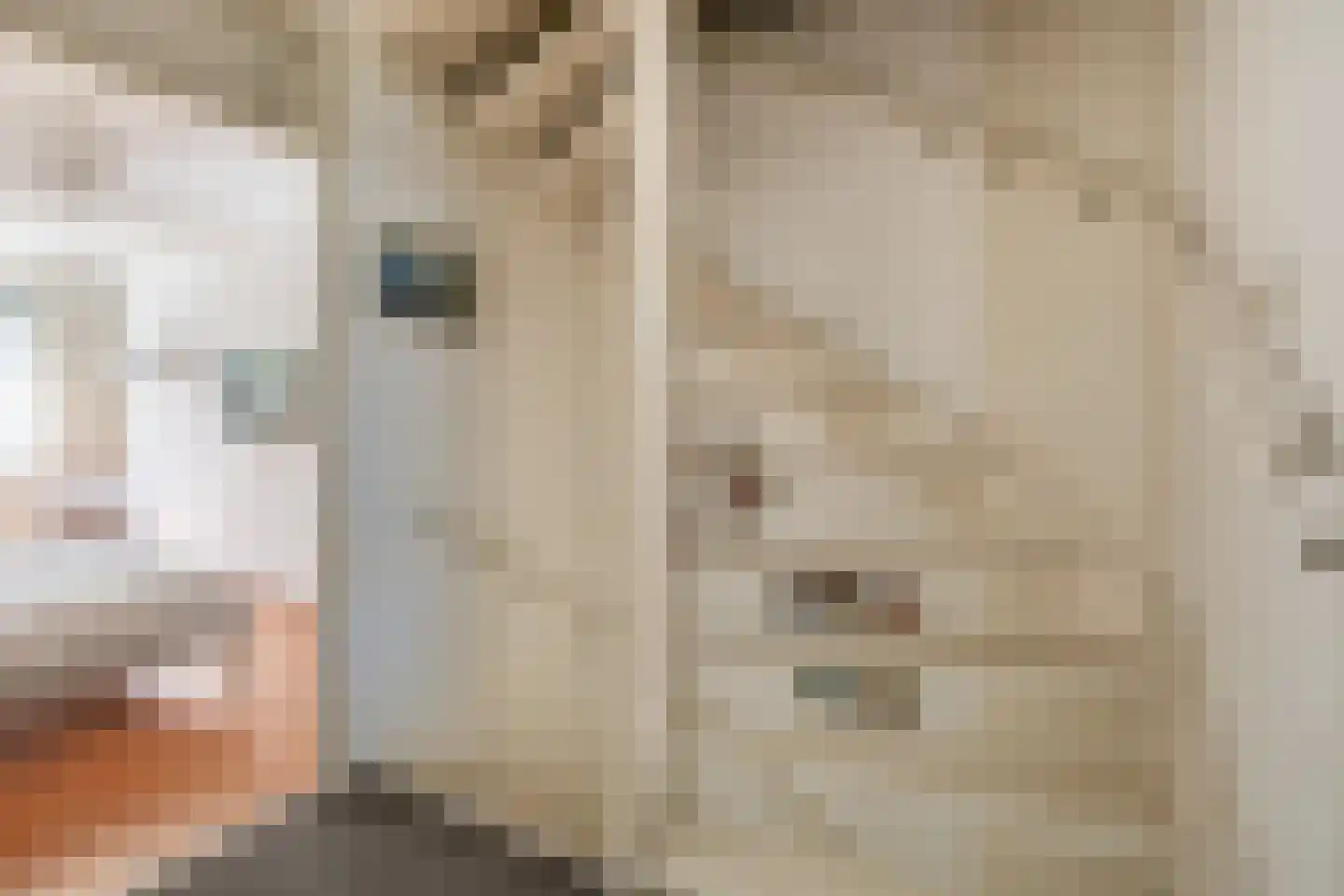 Ringelwikke 10 Tegelen thumbnail 18