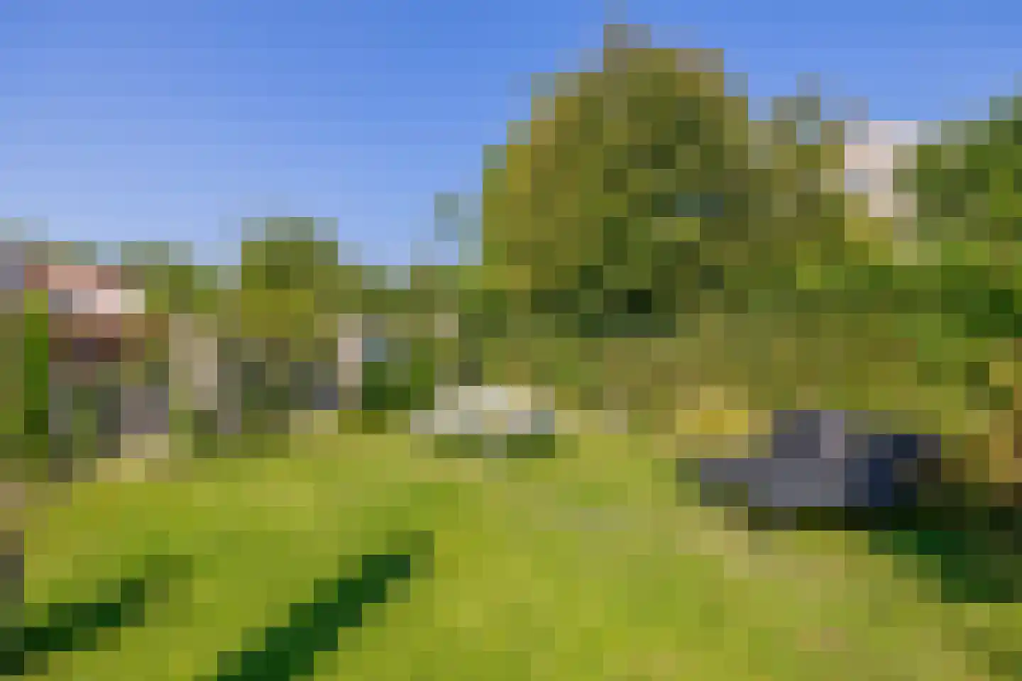 Ringelwikke 10 Tegelen thumbnail 22
