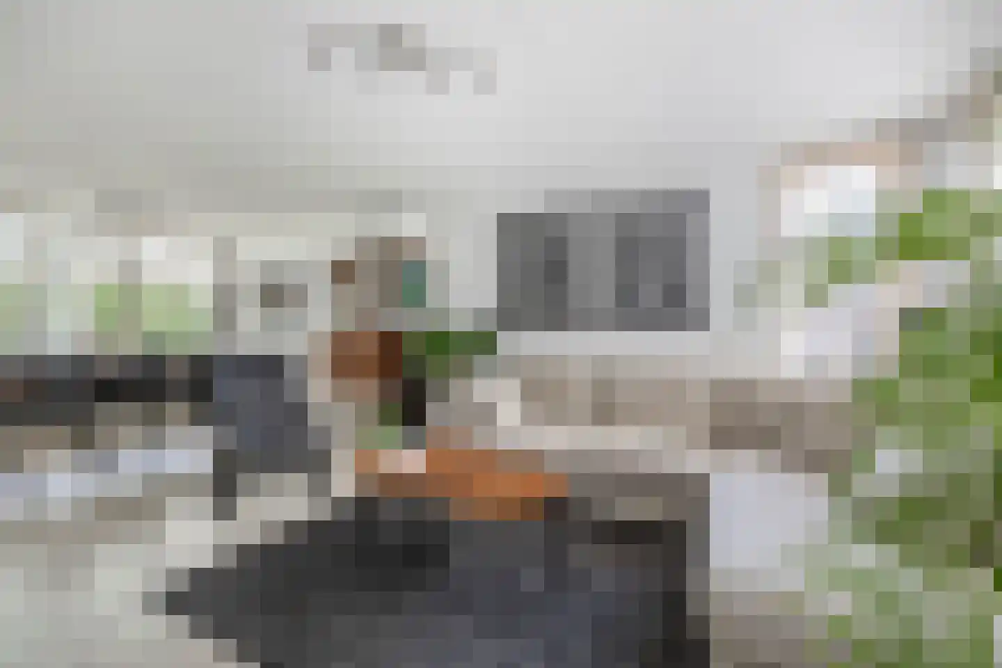 Ringelwikke 10 Tegelen thumbnail 4