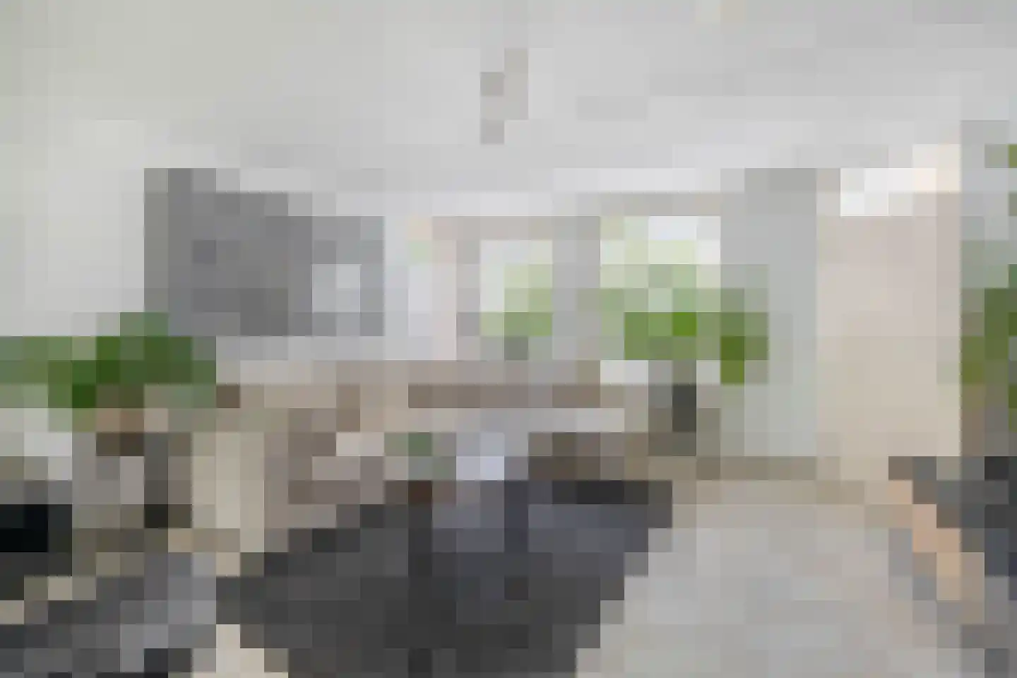 Ringelwikke 10 Tegelen thumbnail 5