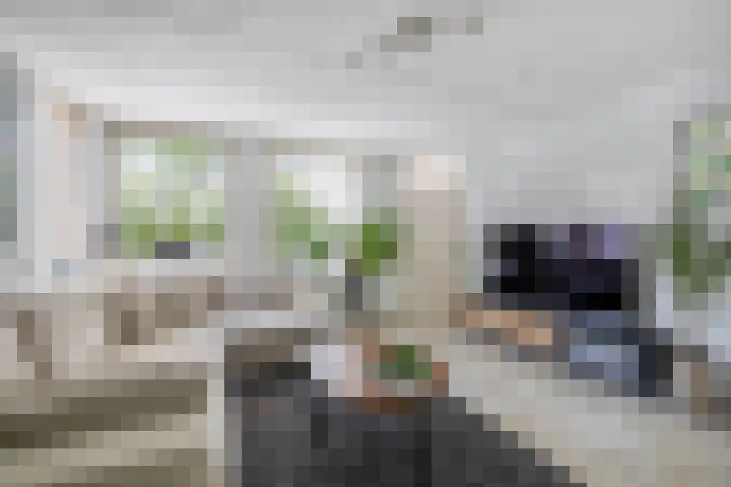 Ringelwikke 10 Tegelen thumbnail 6