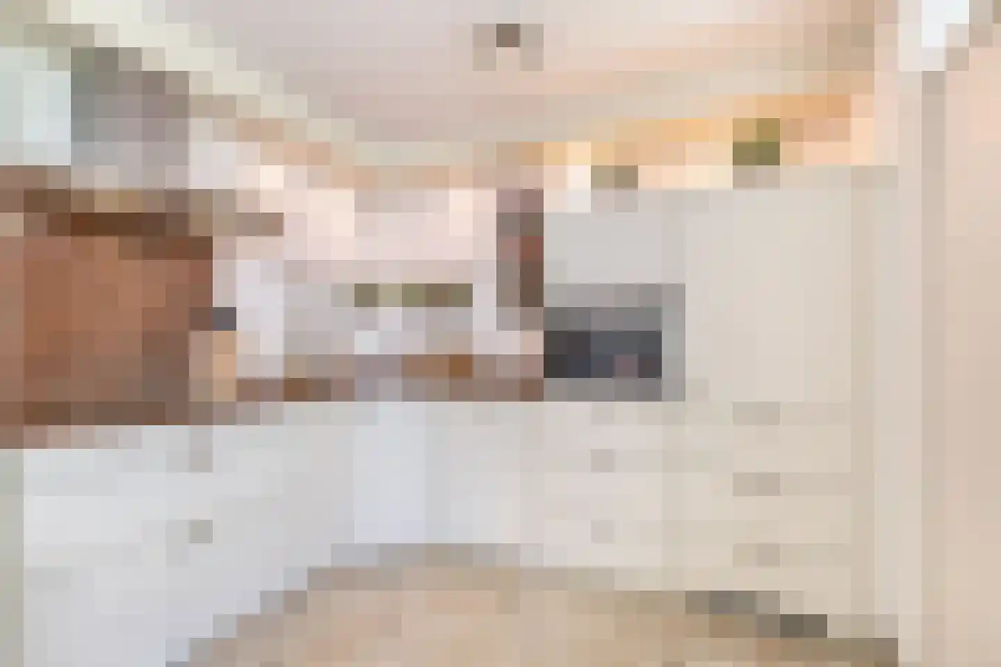 Ringelwikke 10 Tegelen thumbnail 8