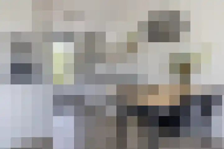 Ringelwikke 12 Heiloo thumbnail 10