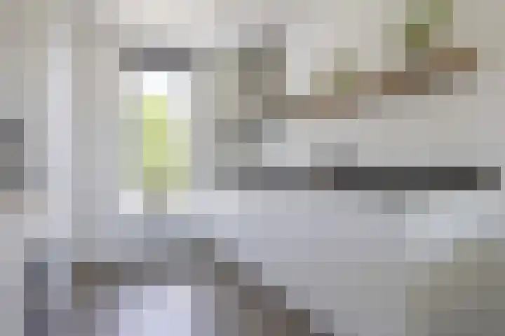 Ringelwikke 12 Heiloo thumbnail 11