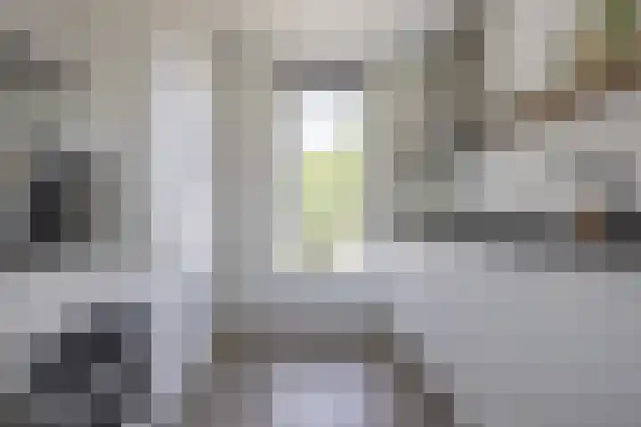 Ringelwikke 12 Heiloo thumbnail 12