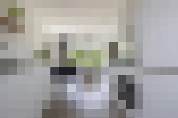 Ringelwikke 12 Heiloo thumbnail 13