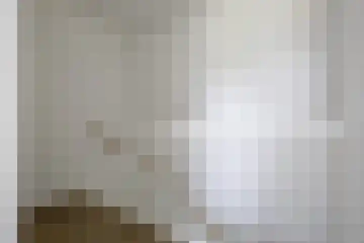 Ringelwikke 12 Heiloo thumbnail 16