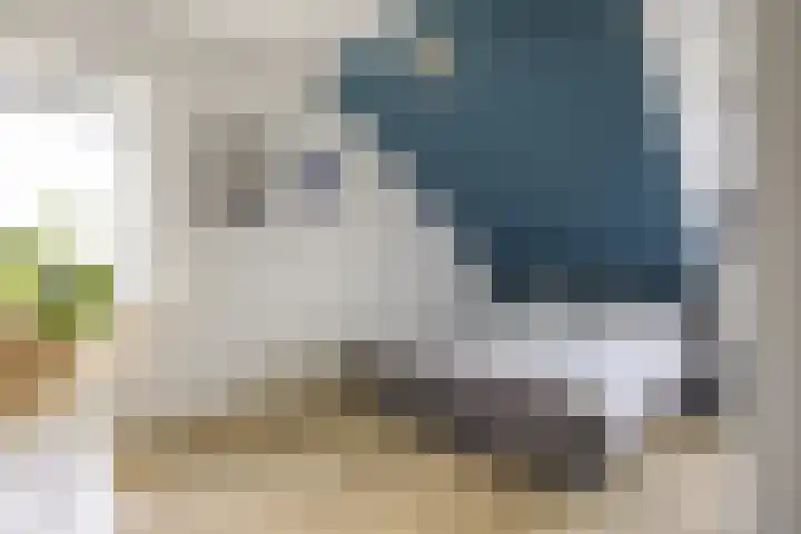Ringelwikke 12 Heiloo thumbnail 17