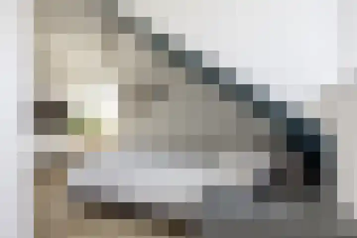 Ringelwikke 12 Heiloo thumbnail 18