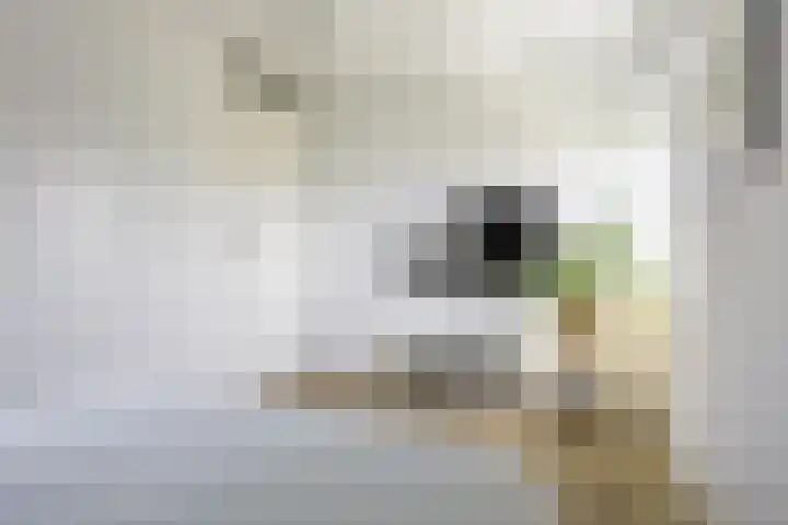 Ringelwikke 12 Heiloo thumbnail 20
