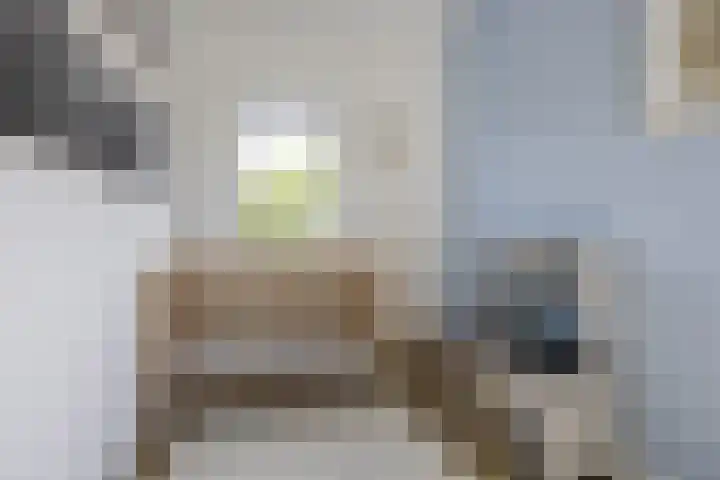 Ringelwikke 12 Heiloo thumbnail 21