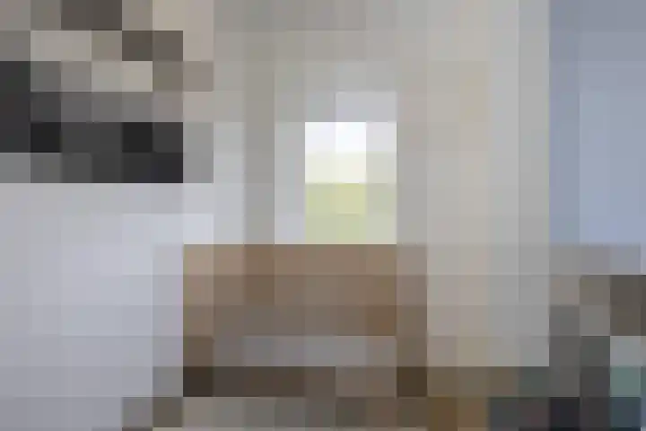 Ringelwikke 12 Heiloo thumbnail 22
