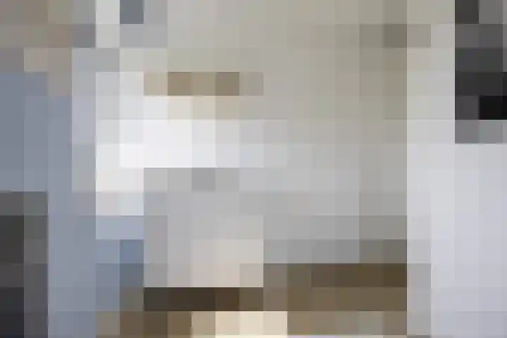 Ringelwikke 12 Heiloo thumbnail 23