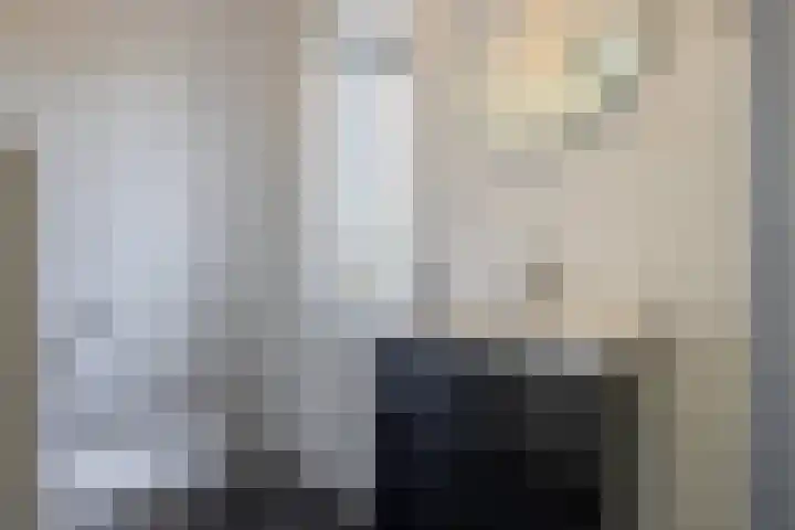 Ringelwikke 12 Heiloo thumbnail 25