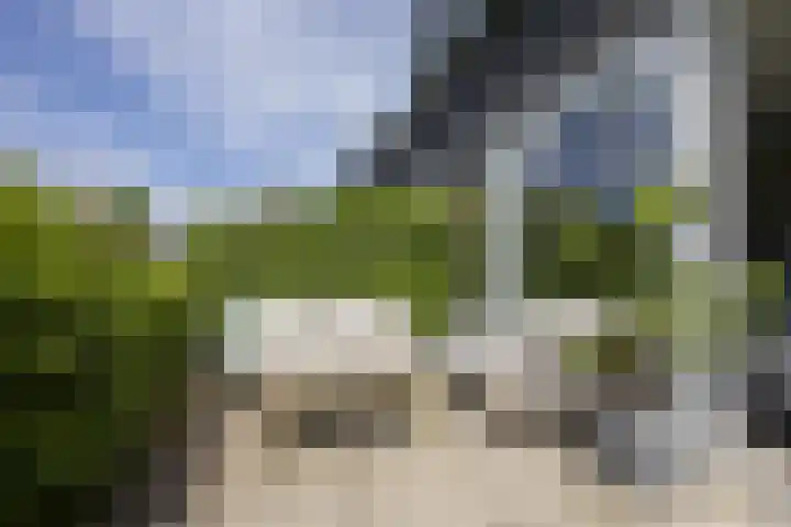 Ringelwikke 12 Heiloo thumbnail 28