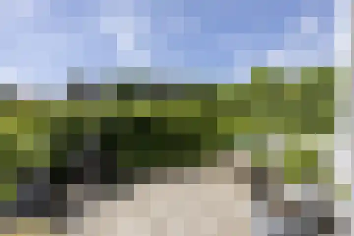 Ringelwikke 12 Heiloo thumbnail 29
