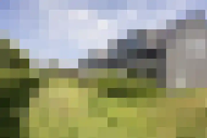 Ringelwikke 12 Heiloo thumbnail 30