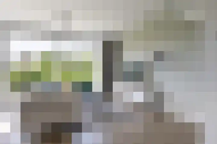 Ringelwikke 12 Heiloo thumbnail 4