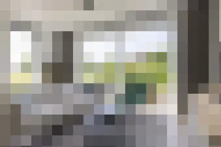 Ringelwikke 12 Heiloo thumbnail 5