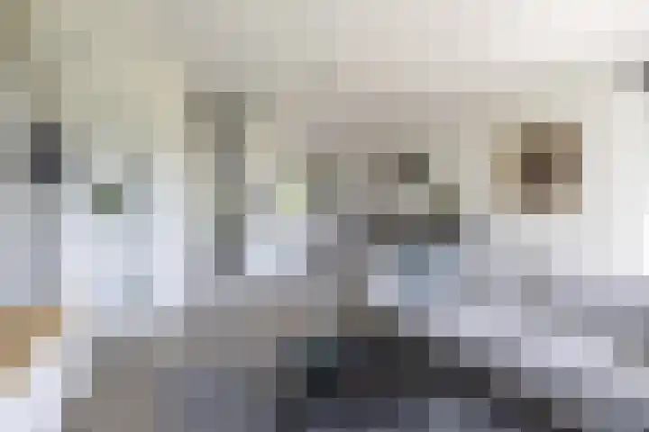 Ringelwikke 12 Heiloo thumbnail 6